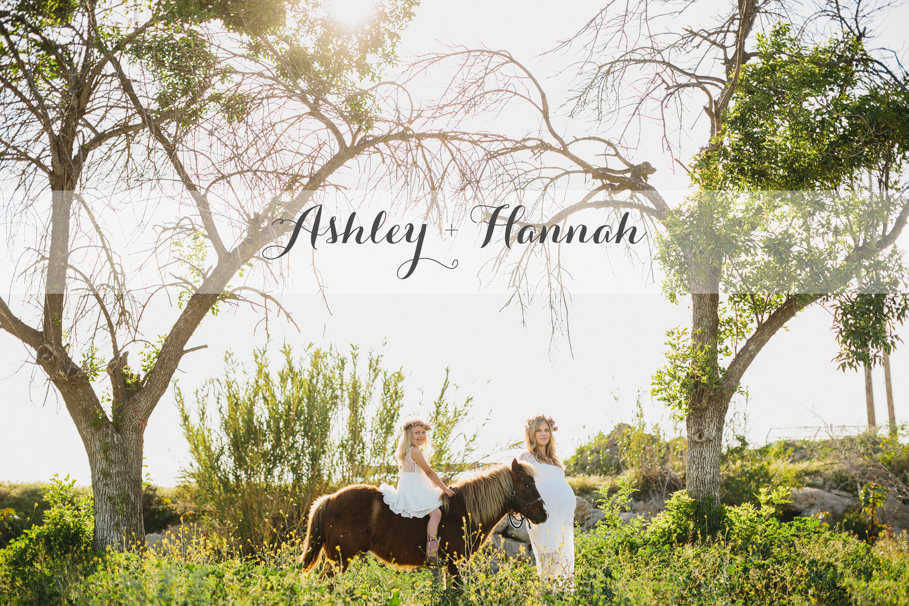 A maternity photography session in california with mother daughter their horse and a creek