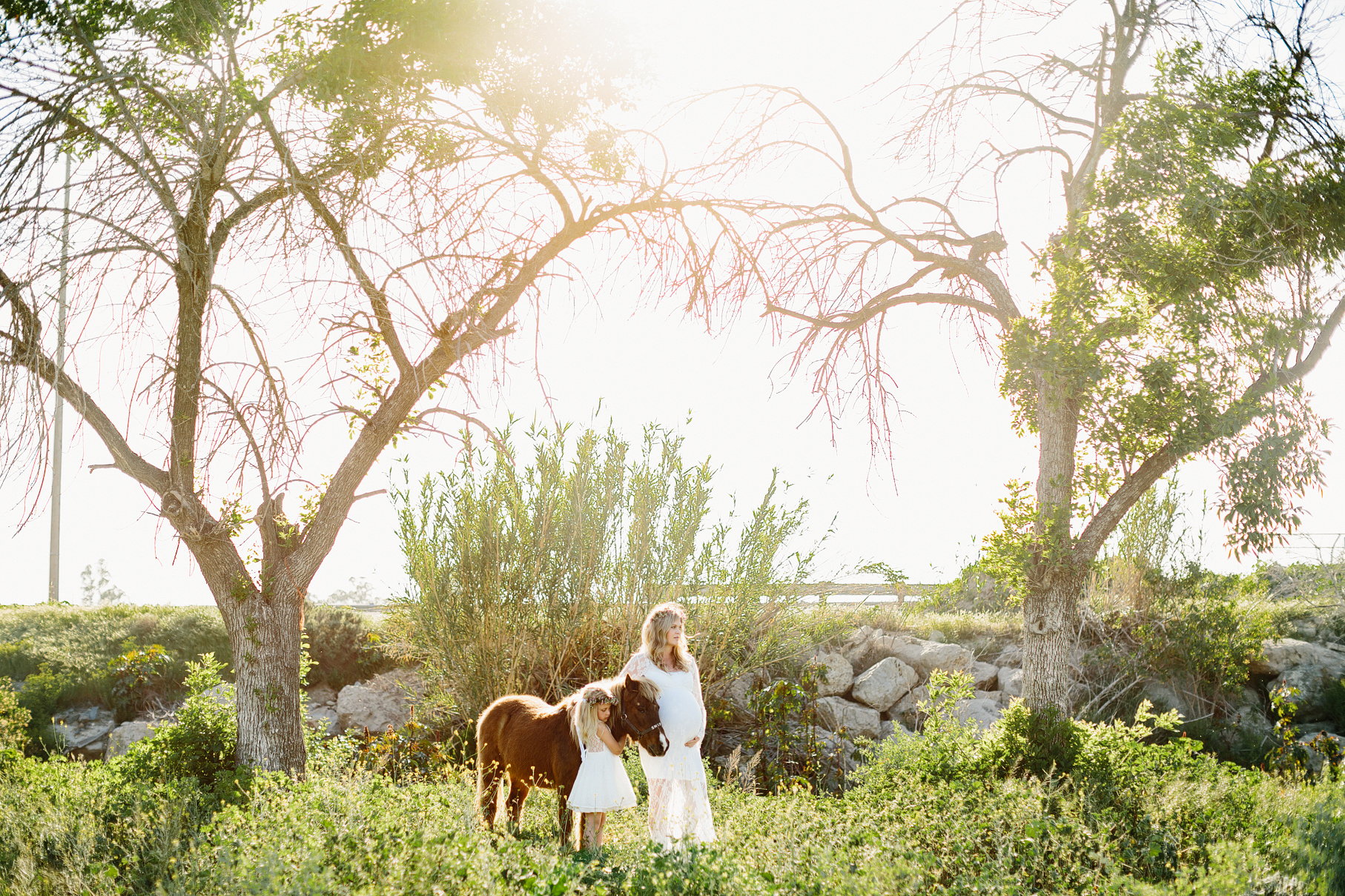 A maternity photography session in california with mother daughter their horse and a creek