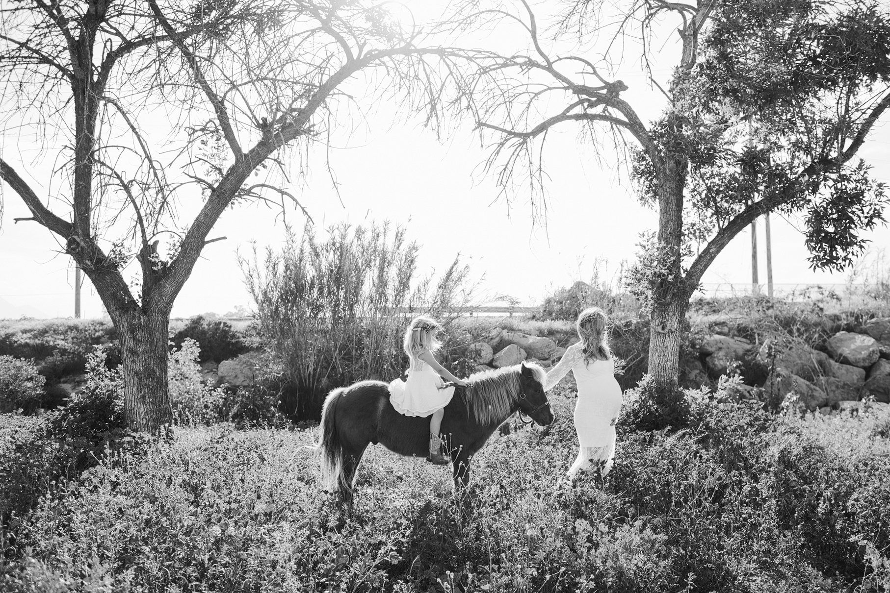 A maternity photography session in california with mother daughter their horse and a creek