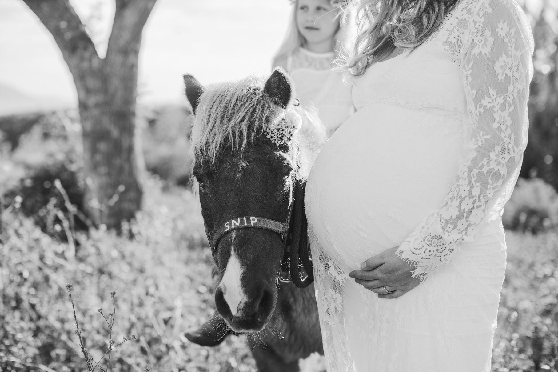 A maternity photography session in california with mother daughter their horse and a creek