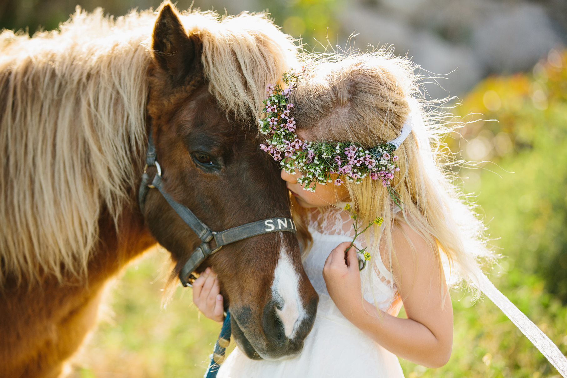 A maternity photography session in california with mother daughter their horse and a creek